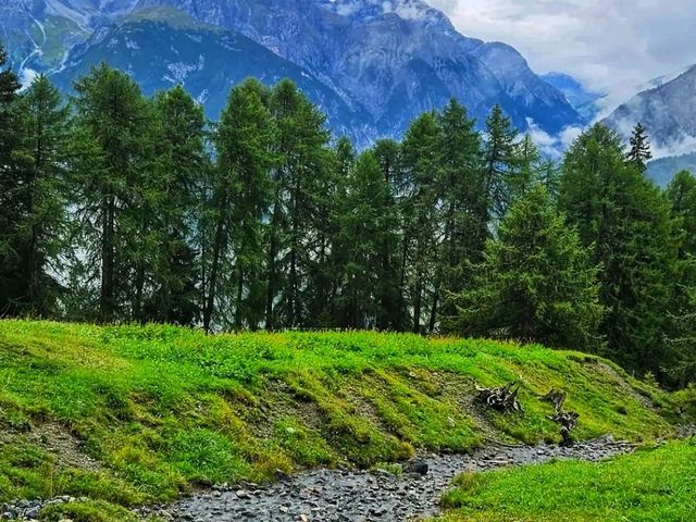 🏔️ Swiss National Park – Switzerland’s Untamed Alpine Wonder