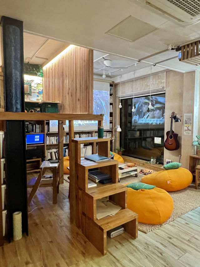 제주 동쪽 숙소 추천, 물고기나무 제주 동쪽 숙소 추천, 물고기나무