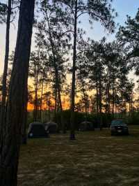 🌲🏞️ Mountain Pine Ridge Forest Reserve – Belize’s Highland Wonderland