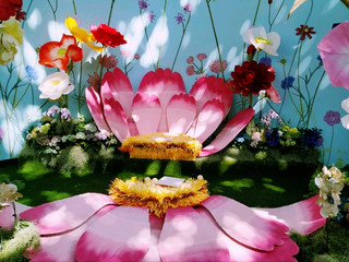 A Floral Feast: Tulips and a Symphony of Blooms