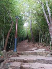 학업성취 기원 불전함이 인상적인 용궁사🎓