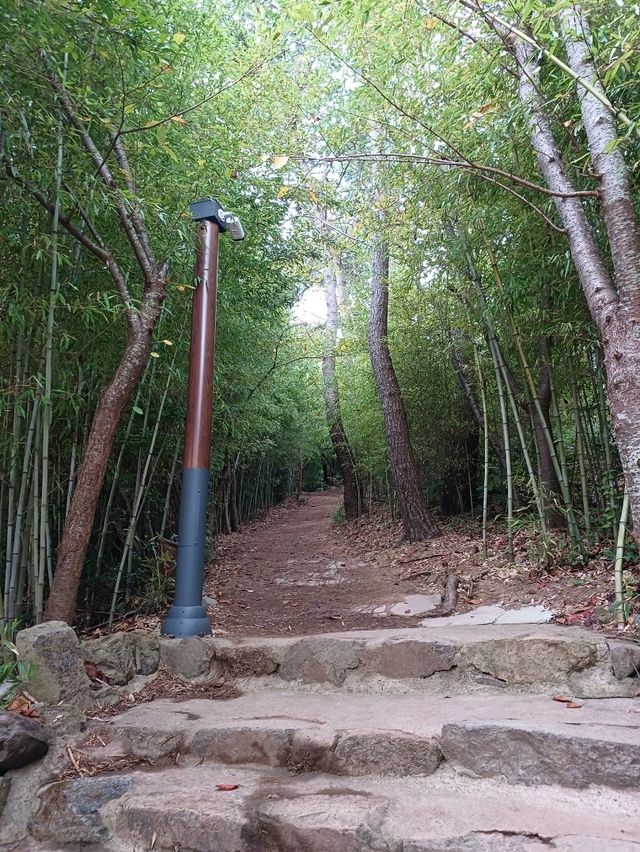 학업성취 기원 불전함이 인상적인 용궁사🎓