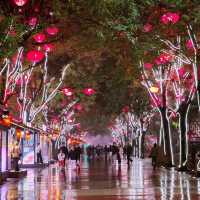 Dive into Xi’an’s Timeless Charm 🌟🏮