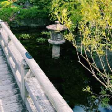 The Solo Daimyo's Stroll: Tokugawa-en Garden