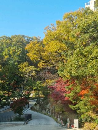 If you want a comfortable rest in Seoul, here