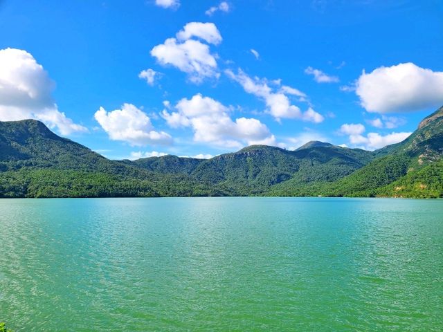 【鳳凰徑第9段~籮箕灣 ⭐】