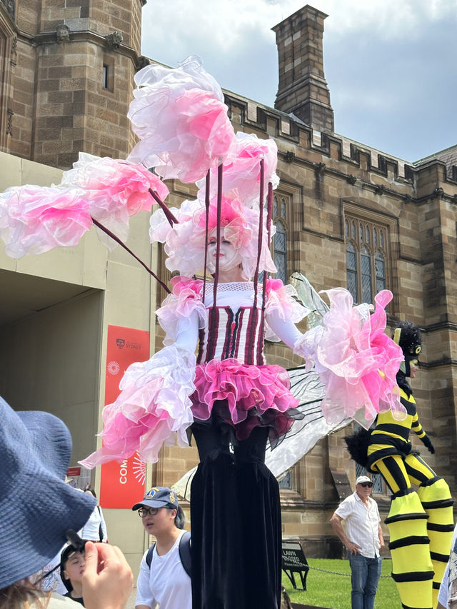 雪梨大學 - 175年的古蹟校園漫遊 📸 雪梨大學 - 175年的古蹟校園漫遊 📸