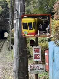 米其林三星的秋日絮語～滿山紅葉的高尾山