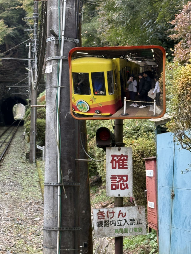 米其林三星的秋日絮語～滿山紅葉的高尾山