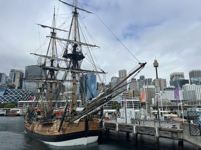 澳大利亞景點—🚶♂️ Sydney Harbour Circle Walk(雪梨港環港步道) 澳大利亞景點—🚶♂️ Sydney Harbour Circle Walk(雪梨港環港步道)