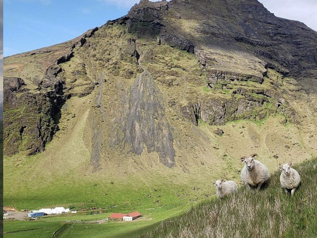 典型北歐教堂設計:紅色屋頂+白白牆身,好搶眼 典型北歐教堂設計:紅色屋頂+白白牆身,好搶眼