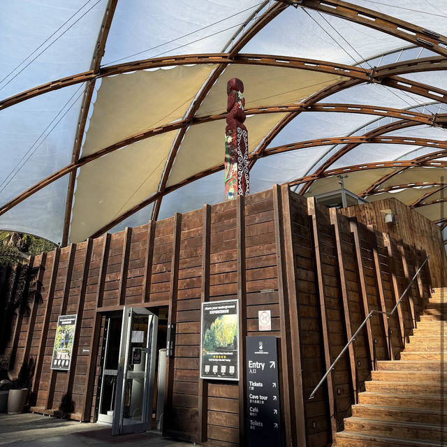 Waitomo Glowworm Caves Waitomo Glowworm Caves