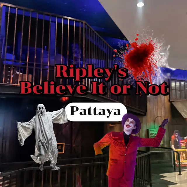 Ripley's Pattaya 挑戰膽量的地標，膽大者必到。