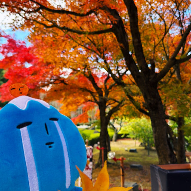 伊豆全景公園免費足湯、修善寺紅葉公園🍁