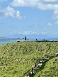 Urban Nature Spot🌳