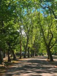 헝가리 부다페스트 여행 : 자유로운 city park 🇭🇺