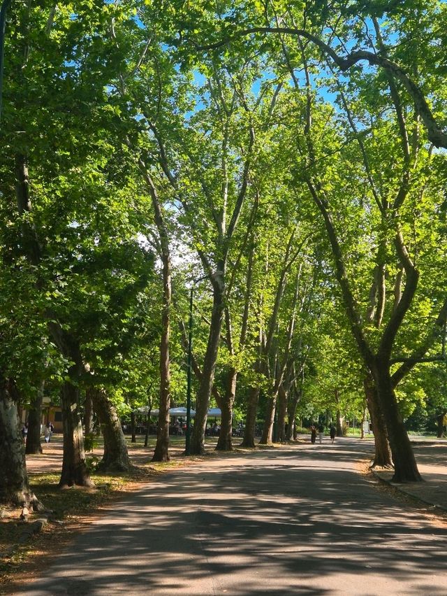 헝가리 부다페스트 여행 : 자유로운 city park 🇭🇺