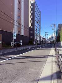 Osaka Food Finds🍣