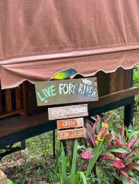 บ้านแม่แมะ เชียงดาว — หมู่บ้านกลางหุบเขาที่เงียบ