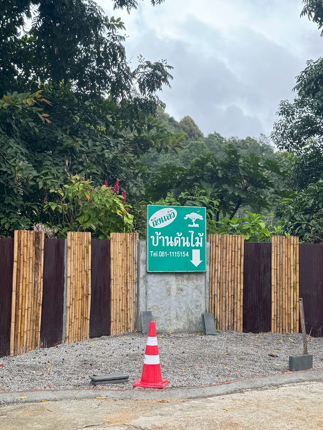 บ้านแม่แมะ เชียงดาว — หมู่บ้านกลางหุบเขาที่เงียบ บ้านแม่แมะ เชียงดาว — หมู่บ้านกลางหุบเขาที่เงียบ