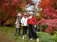 🍂秋日阿蘇山:米塚的金色光影、草千里的高原風、火山的震撼能量