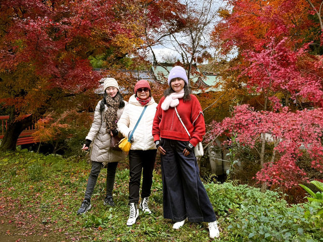 🍂秋日阿蘇山:米塚的金色光影、草千里的高原風、火山的震撼能量 🍂秋日阿蘇山:米塚的金色光影、草千里的高原風、火山的震撼能量
