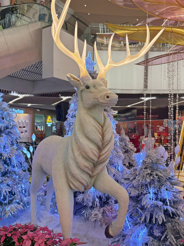 Festive Joy 🎄 Festive Joy 🎄