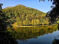 Jade in the Hills: The Mirrored Soul of Lau Shui Heung