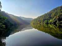 Jade in the Hills: The Mirrored Soul of Lau Shui Heung