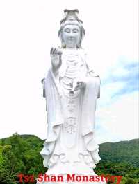 Tsz Shan Monasteryวัดดังในฮ่องกง