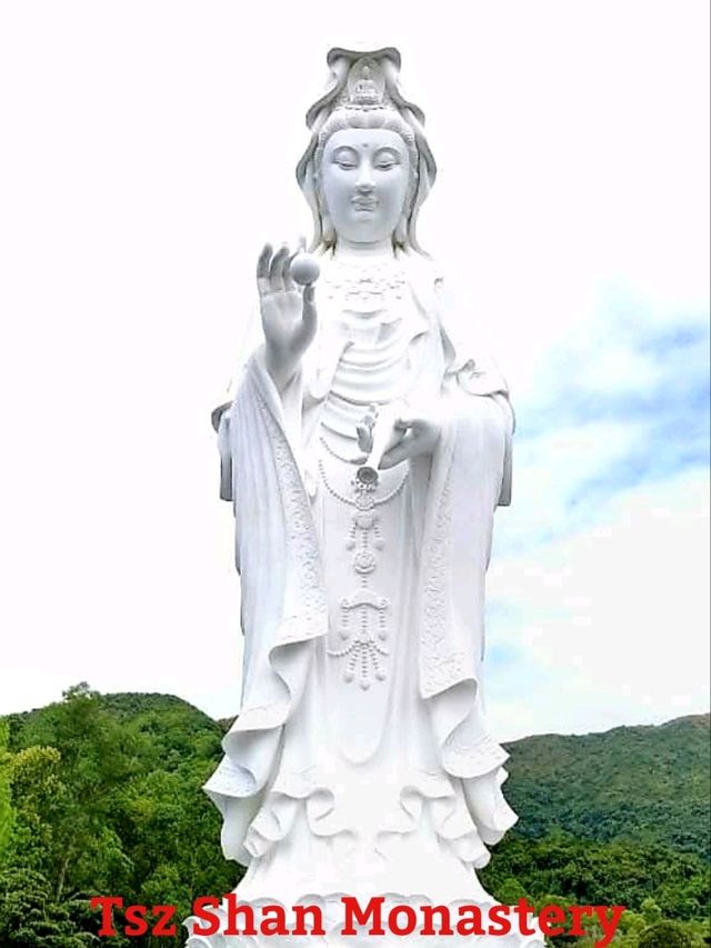 Tsz Shan Monasteryวัดดังในฮ่องกง Tsz Shan Monasteryวัดดังในฮ่องกง