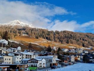 gentle swiss