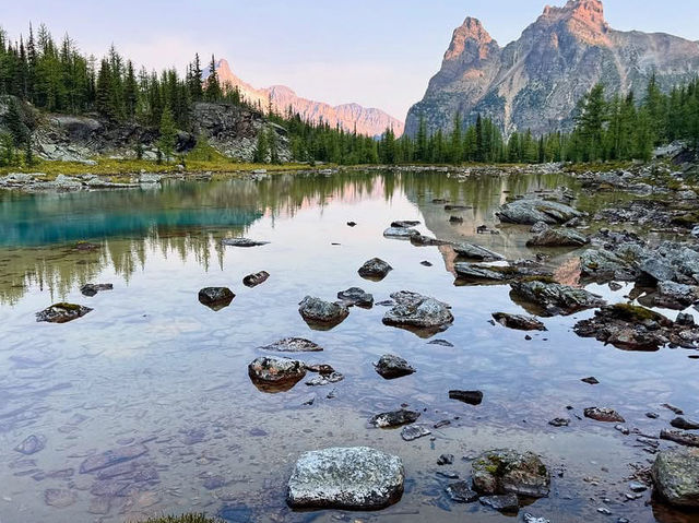 Lake O’Hara Serene Waters and Mountain Views