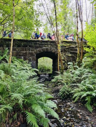 💦 Power and Beauty: Falls of Leny 🏞️
