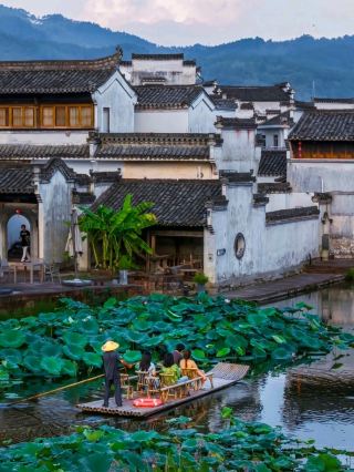 Hongcun Village, "Sea of ​​Lotus Flowers near Huangshan Mountain"