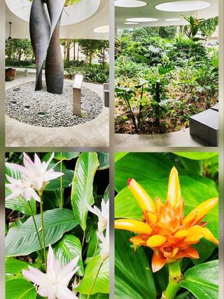 Singapore's diverse tropical flora