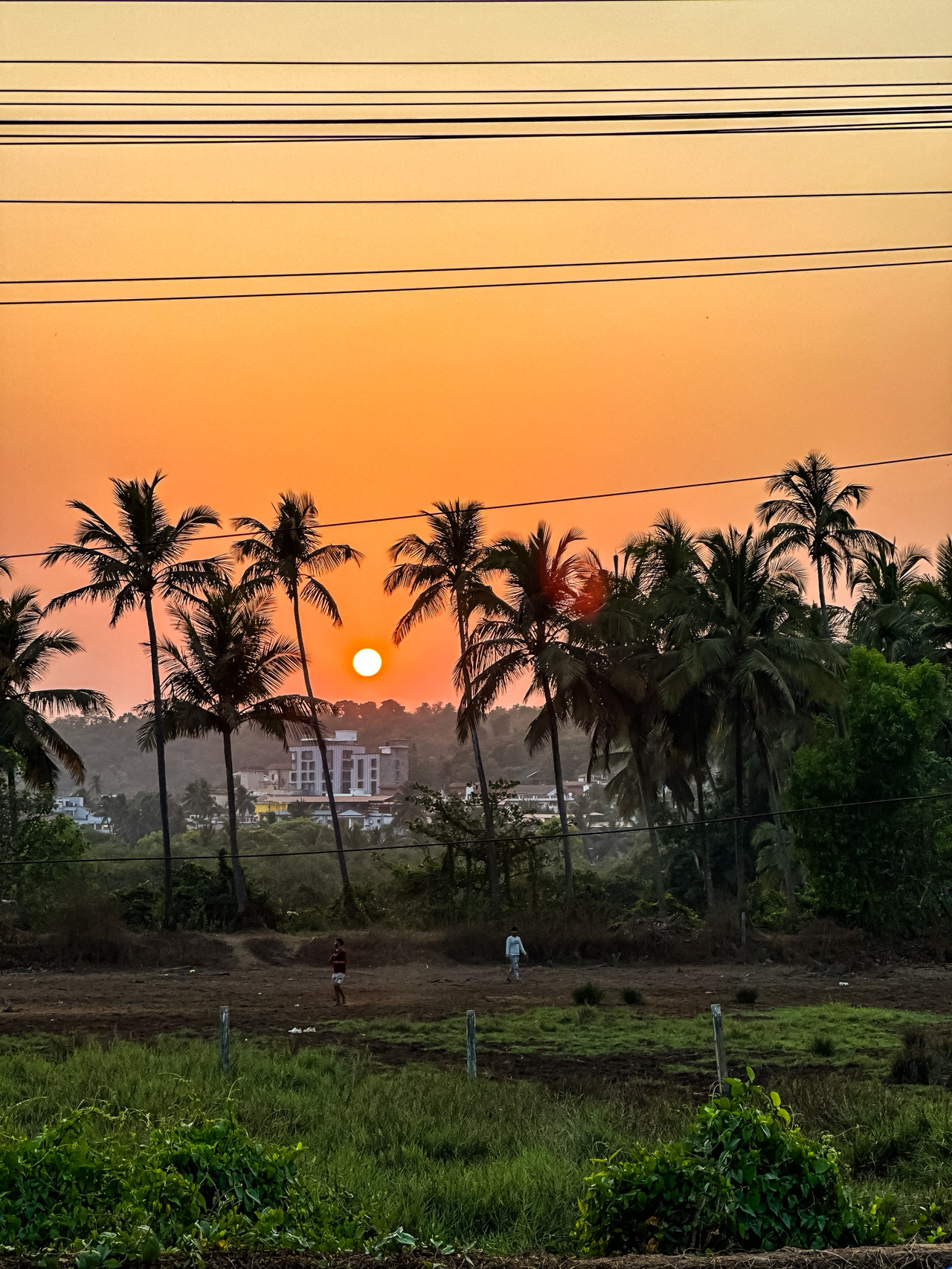 Tôi không hiểu sao lại có ít người nước ngoài ở vùng này của Goa đến vậy.