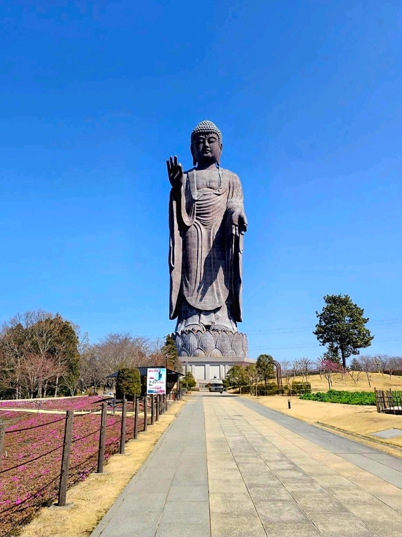 世界で最も高い青銅製の仏像を拝む | Trip.com 牛久