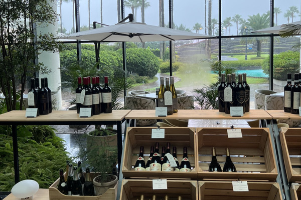 A Relaxing Summer Getaway Among Palm Trees at Grand Josun Jeju
