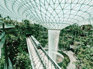 #arrivalguide  

Here’s a quick lowdown on why Singapore Changi Airport blows other airports out of the water and how to make the most of your time here ✈️🌴

Top Spots to Visit at Changi Airport:
🌸 The Jewel: Located at T1, Jewel is open 24/7 and is an absolute must-see. Snap a pic of the Rain Vortex (world’s largest indoor waterfall), wander the lush forest, and grab bubble tea at basement cafes.
🪴 Butterfly Garden: Found in T3 (Departure Transit), open 24 hours. This dreamy garden is home to over 1,000 butterflies—perfect for a zen break between flights.
🍀 Sunflower Garden: Head to T2 (Transit Area) for rooftop vibes and Insta-worthy shots. Open all hours, and totally free entry.
🎬 Movie Theatres: Free cinemas in T2 and T3, showing blockbusters all day and night (no ticket needed, just walk in!).
🛝 Slide @ T3: For some post-flight fun, try the world’s tallest airport slide. Get coupons at participating outlets to ride.

My Tips for Changi:
· Arrive early! Changi is way more than an airport—it's a destination. Spend at least 2–3 hours for the best experience.
· Download the airport map from the official Changi site for easy navigation.
· Most gardens are free, so don’t stress about entrance fees—just roam and enjoy.
· Jewel offers luggage storage at basement level, perfect if you’re in transit.

Getting Around: Hop between terminals using the free Skytrain (every 5 minutes), or simply walk—everything’s well signposted. No ride-hailing needed!

Food to Try: Grab chili crab pasta at Violet Oon (Jewel), laksa at T3’s Food Court, and don’t skip a kaya toast with kopi!

Weather tip: Changi is fully air-conditioned, so bring a light layer.

#ChangiMagic  #SingaporeStopover  #AirportGoals  #TravelHacks 