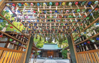 埼玉🇯🇵 到「川越冰川神社結緣風鈴祭」聆聽約2,000個江戶風鈴的音色