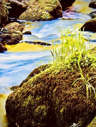 India Meghalaya Shillong Laitlum Canyons Mossy Cliff Caféeasytravelpost #LaitlumCanyons #Shillong #