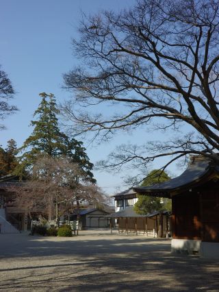 前往提升運勢的神社，回程在牧場被牛牛療癒的假日