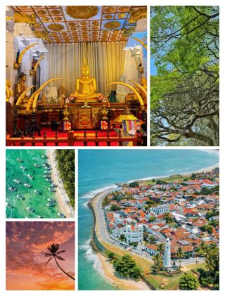 #easytravelpost 
My Amazing Trip to Sri Lanka

My trip to Sri Lanka was one of the most memorable journeys I have taken. From the moment I arrived, the country surprised me with its beautiful landscapes, welcoming atmosphere and incredible variety of experiences.

I explored Colombo, enjoyed the unforgettable seaside train ride, visited the Temple of the Sacred Tooth Relic in Kandy and experienced the charm of Sri Lanka’s scenic countryside. Every destination offered something different, from busy city streets and historic places to peaceful views and beautiful coastal scenery.

What I loved most was the feeling of travelling through a country where nature, culture and history come together so naturally. The train journeys, local food, temples, beaches and everyday moments made the trip even more special.

Sri Lanka gave me many beautiful memories that I will carry with me for a long time. It was not just a holiday; it was an experience I would happily repeat.