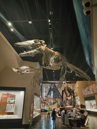 🦕 保定自然史博物館 | 更大、更好、更值得一遊