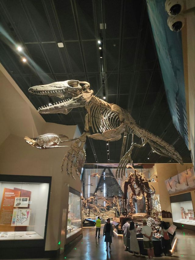 🦕 Baoding Natural History Museum | Bigger, Better, and Worth the Journey 🦕 Baoding Natural History Museum | Bigger, Better, and Worth the Journey