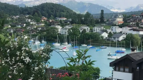花に包まれる旅：今こそ訪れたいスイスの美しい村と絶景散策路 🌸 — traveler post in ツーク