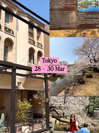 在日本追櫻：計劃週詳還是隨性而為？ 🌸✈️