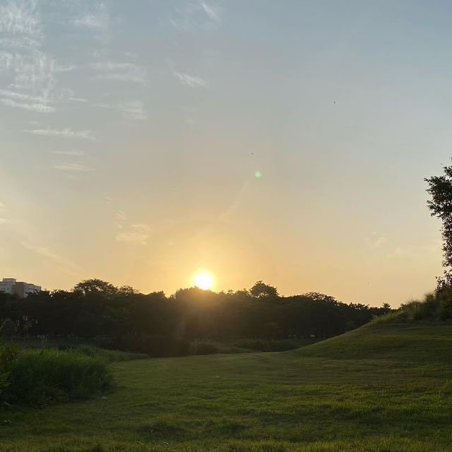 Morning walk in Bishan/Ang Mo Kio Park