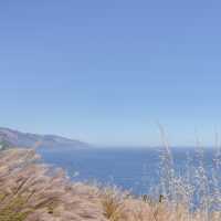The Longest Scenic Coastline in US @ Big Sur